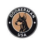 doberman puppy โ lucas vega