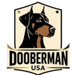 logo 1 removebg preview