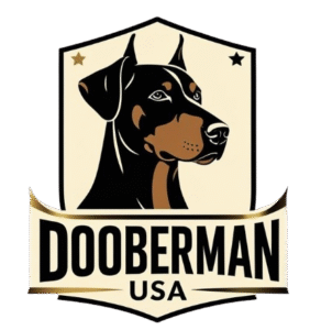 logo 1 removebg preview